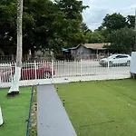 Safari Wynwood